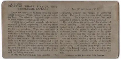Stereo-Fotografie Keystone View Co., Meadville, Walfänger bei Spitzbergen, Floating Whale Station, Walfang