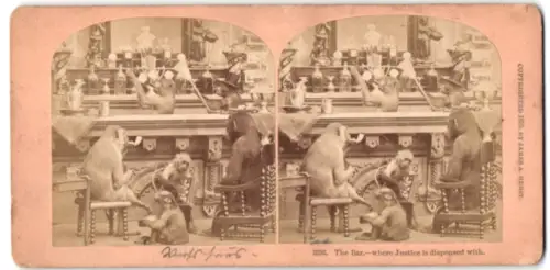 Stereo-Fotografie Killburn Brothers, Littleton / N.H., vermenschlichte Affen wie an der Bar, The Bar where Justice is ..
