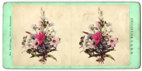Stereo-Fotografie F.A.G.G., Ort unbekannt, Kornblume, Malve und Matrocaria