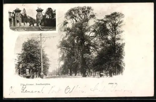 AK Southampton, The Avenue