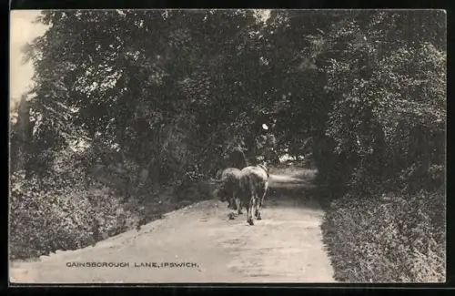 AK Ipswich, Gainsborough Lane