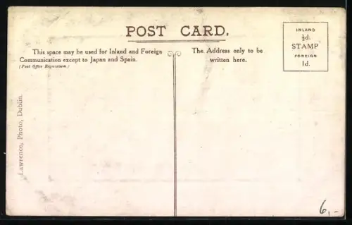 AK Bantry /Co. Cork, General view, mount with clovers