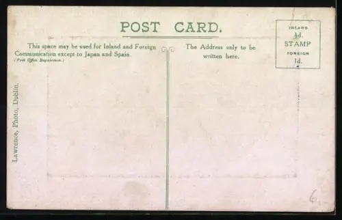 AK Bantry /Co. Cork, Dunemark, Mount with clovers