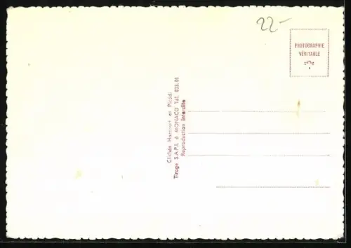 Maximum-AK Portrait Fürst Rainier von Monaco & Grace Kelly, Fürstenpalast mit Wappen