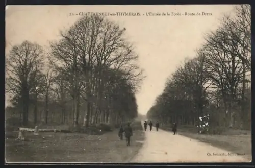 AK Châteauneuf-en-Thymerais, L`Entrée de la Forêt, Route de Dreux