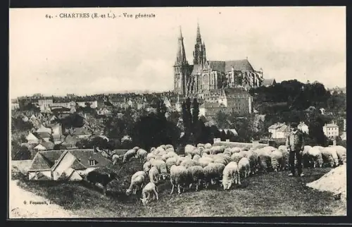 AK Chartres /E.-et-L., Vue générale avec troupeau de moutons devant la cathédrale