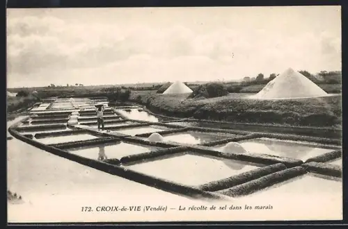 AK Croix-de-Vie, La récolte de sel dans les marais