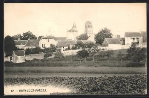 AK Briis-sous-Forges, Panorama
