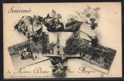 AK Notre-Dame des Anges, Panorama avec des fleurs