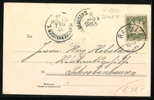 Lithographie Rain / Schwaben, Schwabtor, Inneres der Stadtpfarrkirche, Hauptstrasse mit Rathaus, Mühlbach