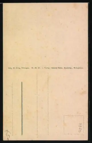 Künstler-AK Weingarten / Bodensee, Basilika St. Martin