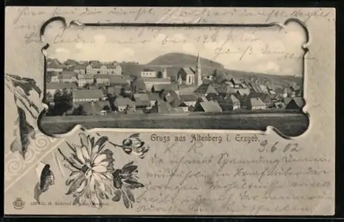 Lithographie Altenberg i. Erzgeb., Teilansicht mit Kirche, Crysanthemen, Passepartout