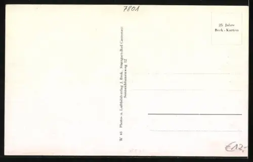 AK Bremgarten /Krs. Müllheim, Dampfer in Fahrt, Strassenpartie, Uferpartie