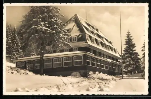 AK Feldberg / Schwarzwald, Hotel Hebelhof