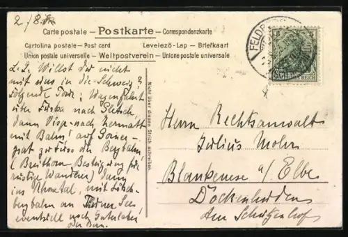 Lithographie Feldberg / Schwarzwald, Alpenpanorama und Turmhotel