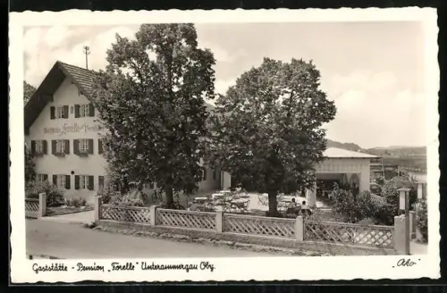 AK Unterammergau, Gaststätte-Pension Forelle mit Gästen