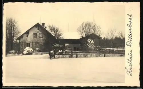 Foto-AK Dittersbach / Sächs. Schweiz, Forsthaus im Schnee