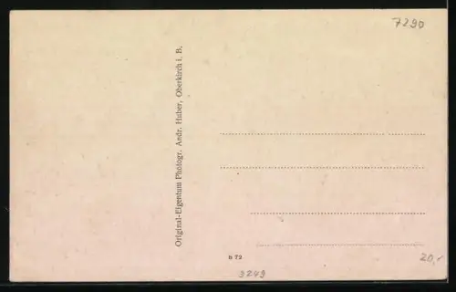 AK Seebach / B., Ruhstein im Schwarzwald, Grenzpfähle Württemberg und Baden an der Schlifkopfstrasse