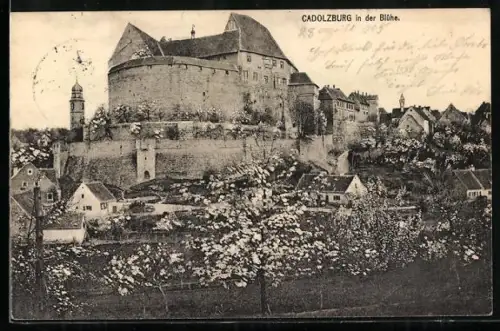 AK Cadolzburg in der Blühe, Blick zur Burg