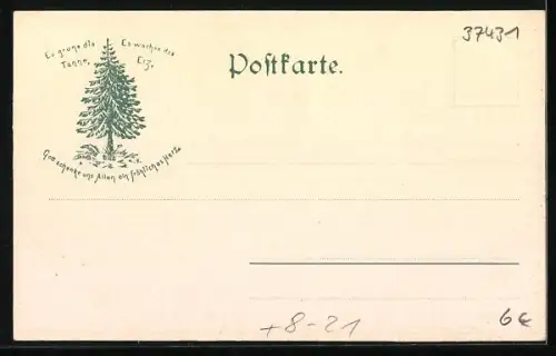 AK Bad Lauterberg /Harz, Köthe auf der Knollendrift, Forstwirtschaft