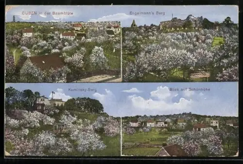 AK Guben, Ort in der Baumblüte, Engelmanns Berg, Blick auf Schönhöhe