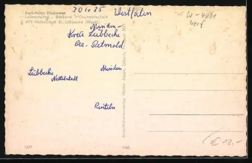 AK Nettelstedt /Westfalen, Kirche, Gasthaus Diekmann, Mühle, Freilichtbühne, Kinderheim