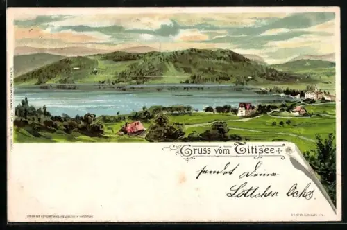 Lithographie Titisee, Seeansicht