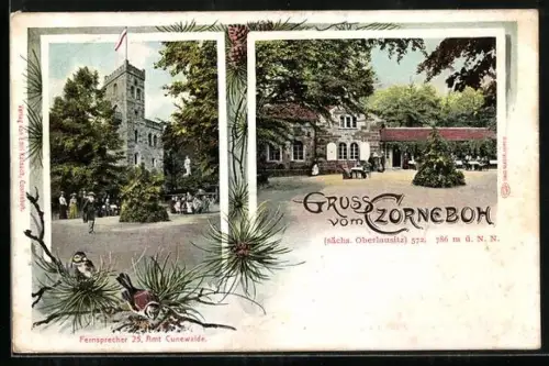 AK Czorneboh /sächs. Oberlausitz, Aussichtsturm, Gasthaus