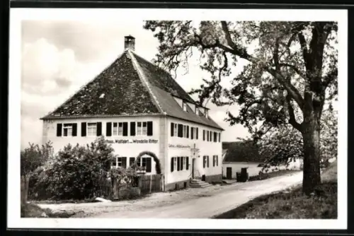 AK Wemding, Gasthaus Wallfahrt, Weinstube Ritter