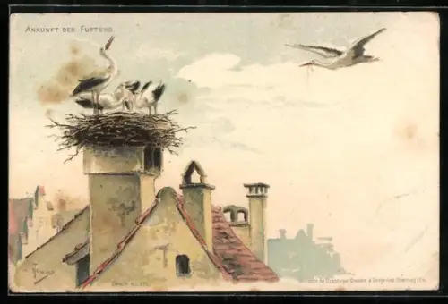 Lithographie Storch bringt Futter für die Nestlinge