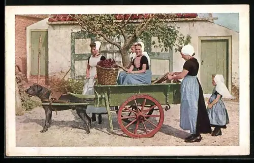 AK Walchersche hondekar, Zeeland, Hundegespann