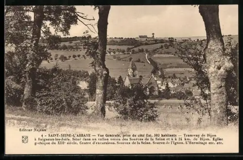 AK Saint-Seine-l'Abbaye, Vue generale