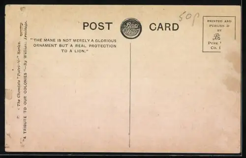 AK Britische Flagge und Löwenkopf, The Glory of a Lion is his Mane, Propaganda Entente