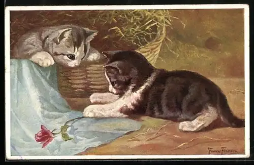 Künstler-AK Neugierige Katzen mit Rose