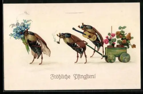 AK Fröhliche Pfingsten, Maikäfer mit Blumenwagen und Gitarre
