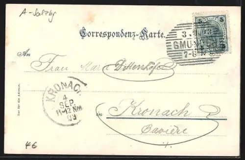 AK Gmunden, Blick vom Ort zum Schloss Ort