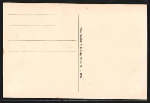 AK Pinggau, Teilansicht