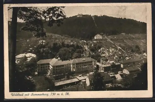 AK Wildbad / Schwarzwald, Sommerberg