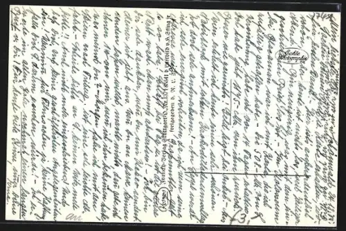 Lithographie Schönwald / Schwarzwald, Ortsansicht vom Flugzeug aus