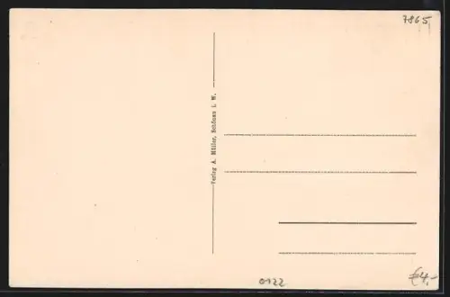 AK Schönau / Schwarzwald, Ortsansicht mit Kirche und umliegenden Bergen