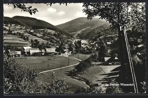 AK Wies / Schopfheim, Ortsansicht im Tal