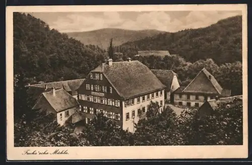 AK Weinheim a. d. Bergstr., Fuchs`sche Mühle