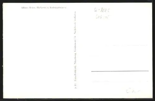 AK Kirchenlaibach /Ofr., Ortsansicht mit Kirche und Feldern