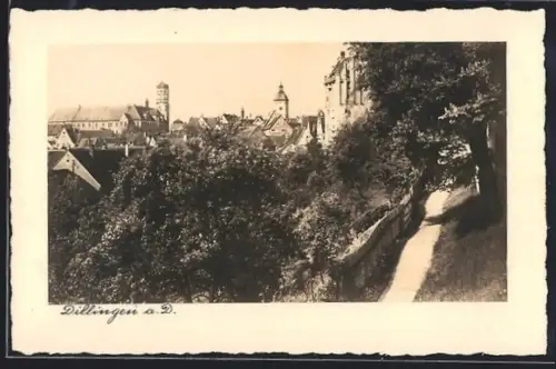 AK Dillingen a. D., Stadtansicht mit Kirche und Schloss