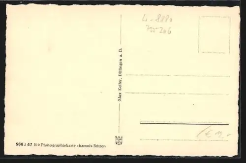 AK Dillingen a. D., Stadtansicht mit Kirche und Schloss