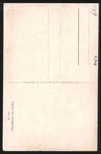 AK Hirschhorn am Neckar, Burg, Stadtansicht, Neckarufer