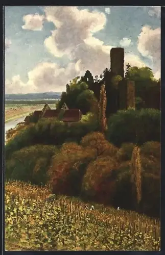 AK Ruine Ehrenberg / Neckar, Burgruine, Weinberge, Flusslandschaft