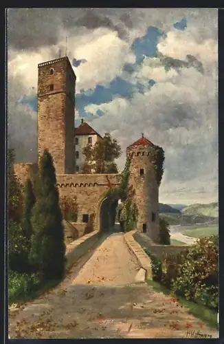 AK Neckarsteinach, Schloss Guttenberg am Neckar