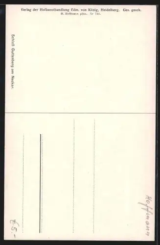 AK Neckarsteinach, Schloss Guttenberg am Neckar