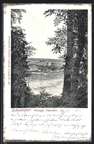 AK Schweinfurt, Weingut Peterstirn